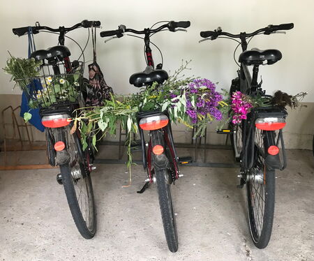 Drei Fahrräder in einem Schuppen mit gepflückten Wildblumen auf dem Gepäckträger