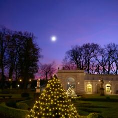 Weihnachten%20Charlotte%20Grief%20KSW-dbdaf8b3