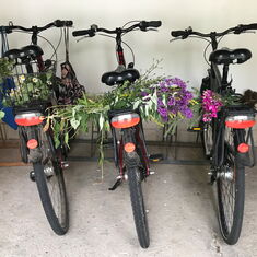 Drei Fahrräder in einem Schuppen mit gepflückten Wildblumen auf dem Gepäckträger