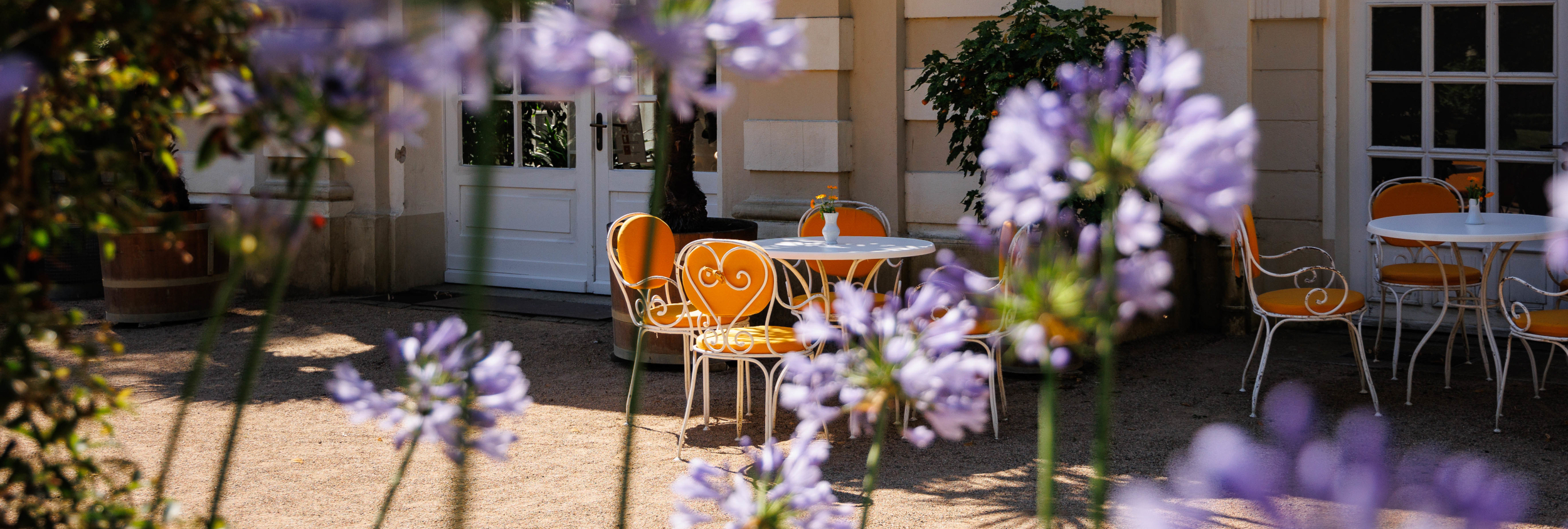 Der Eingang zur Orangerie im Schlosspark mit Terrassentischen und -stühlen davor. Im Vordergrund befinden sich violette Blumen.