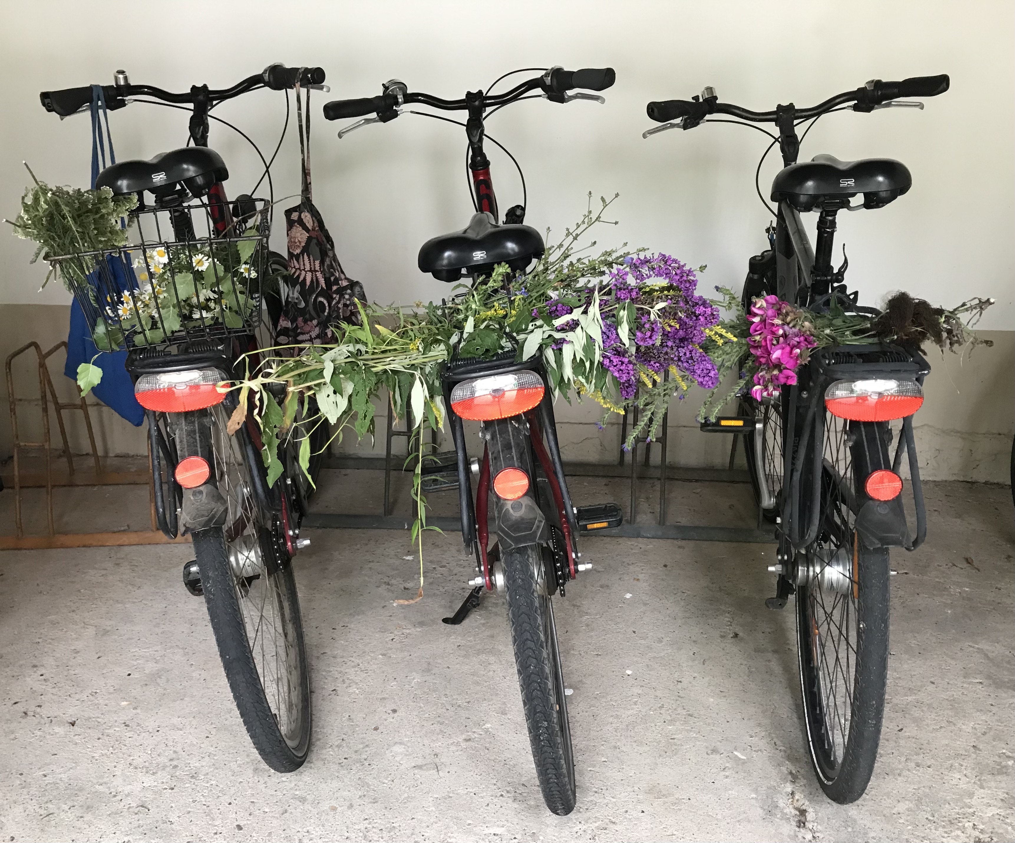 Three bicycles in a shed, with picked wildflowers on the rear rack